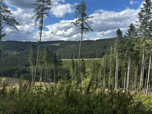 Winterberg - Kahler Asten - Hoher Knochen