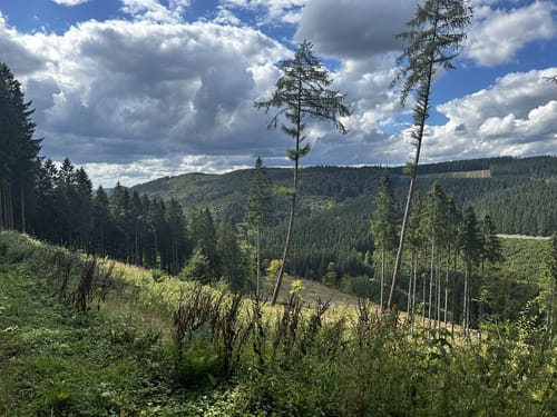 Winterberg - Kahler Asten - Hoher Knochen