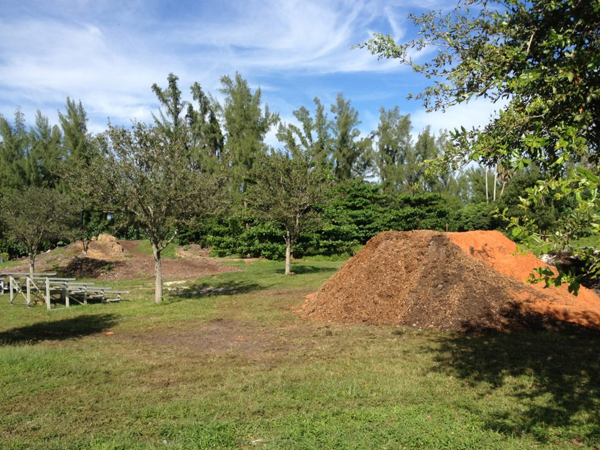 Photos of Amelia Earhart Park Florida trails AllTrails