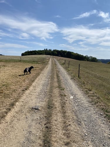 Wanderather (Traumpfad)