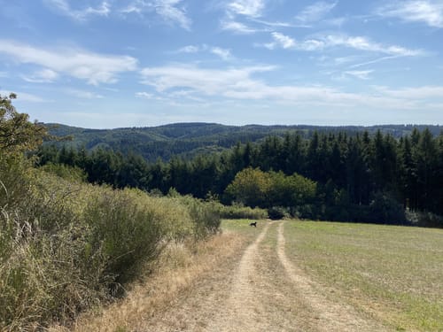 Wanderather (Traumpfad)