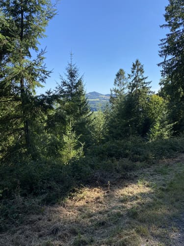 Adenauer Höhenrunde
