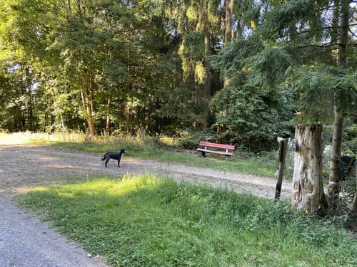 Adenauer Höhenrunde