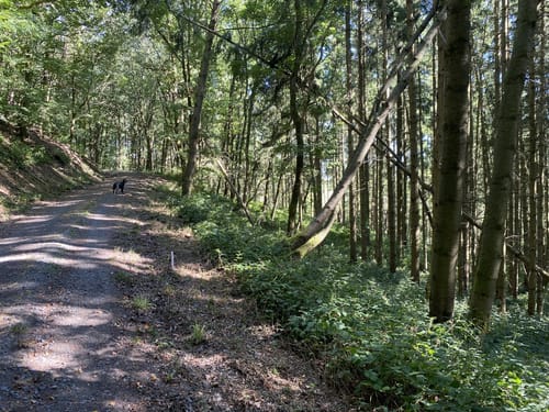 Adenauer Höhenrunde