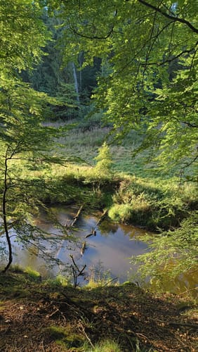 Entlang der Bille