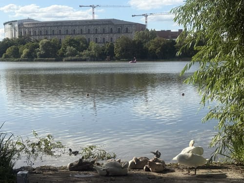 Rundgang um den Dutzendteich
