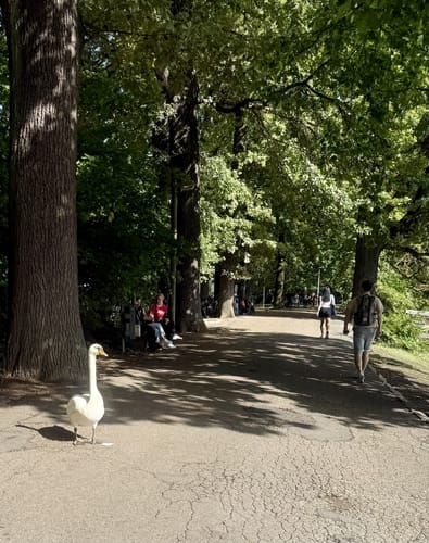 Rundgang um den Dutzendteich