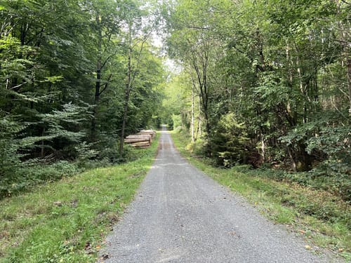 Königsforst Rundweg