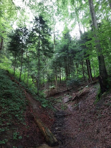 Bannwald Ottobeuren: Deutsche Levada Rundweg von Bannwaldweg