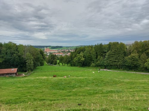 Bannwald Ottobeuren: Deutsche Levada Rundweg von Bannwaldweg