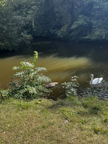Bad Wildungen - Reinhardshausen