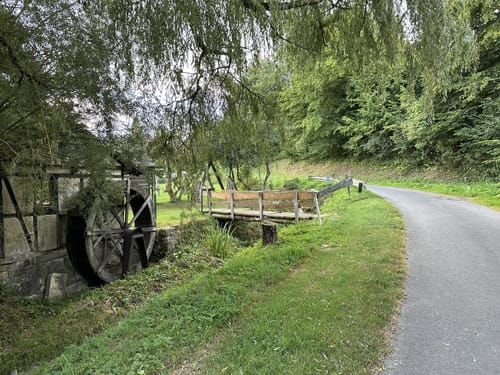 NSG Egge-Nord am Kampen