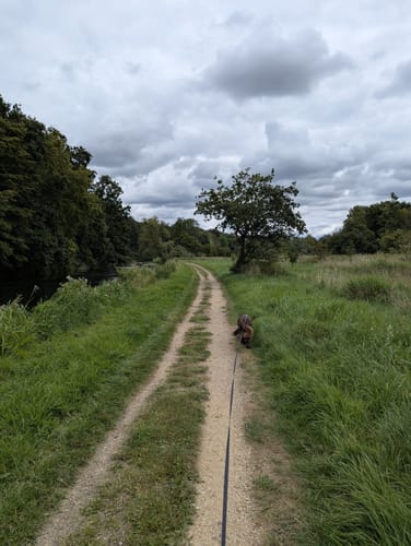 Niers Rundweg