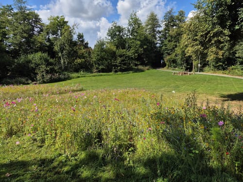 Vom Kaiserbrunnen zum Hermann-Josef-Weg
