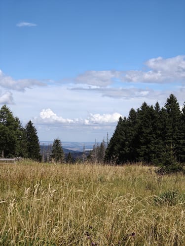Rund um das Große Torfhausmoor