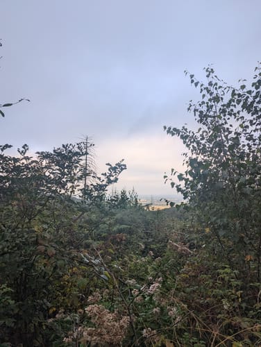 Limberg-Nonnenstein-Weg