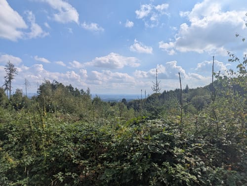 Limberg-Nonnenstein-Weg