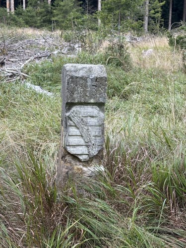 Rennsteig Etappe 6: Friedrichshöhe - Spechtsbrunn