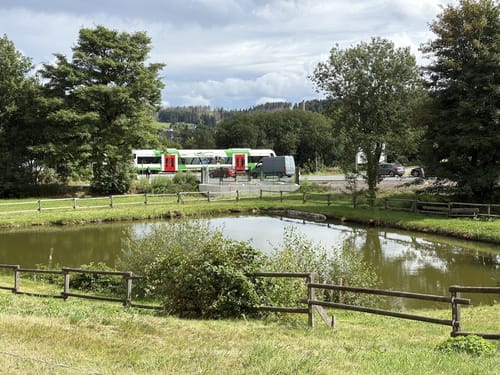Rennsteig Etappe 6: Friedrichshöhe - Spechtsbrunn