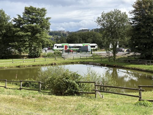 Rennsteig Etappe 6: Friedrichshöhe - Spechtsbrunn