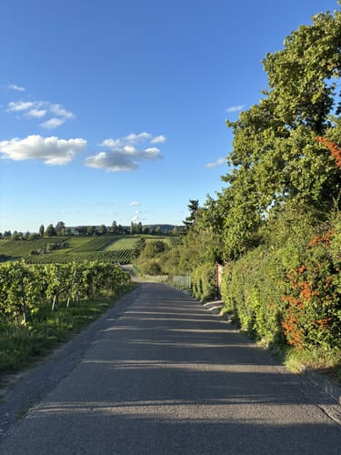 Pfühlpark - Köpfertal Rundwanderung
