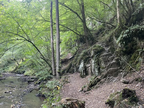 Baybachklamm (Traumschleife)