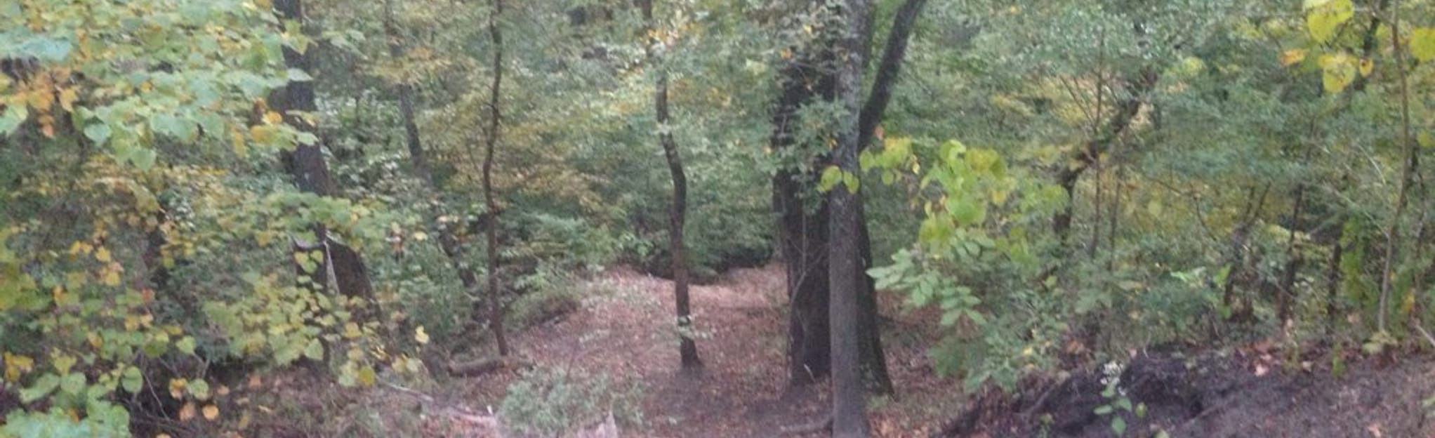 downing-mile-trail-georgia-9-reviews-map-alltrails