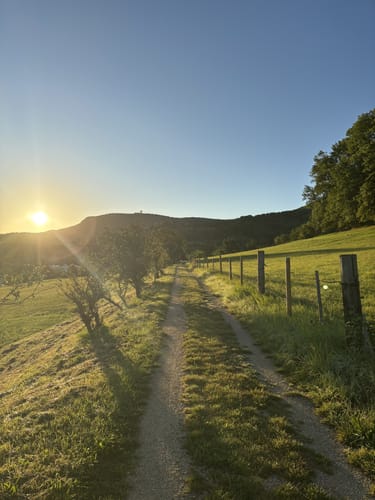 Obstlehrpfad und Skulpturenweg Dürnau
