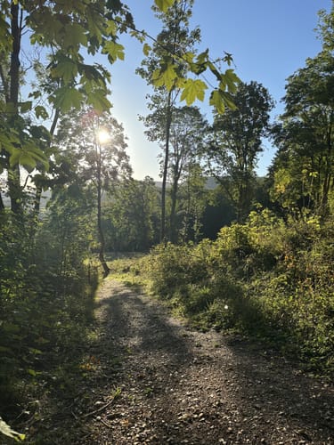 Obstlehrpfad und Skulpturenweg Dürnau
