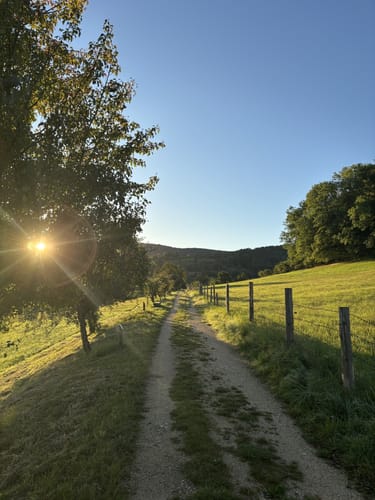Obstlehrpfad und Skulpturenweg Dürnau