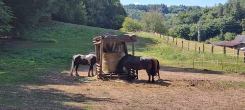 Rund um Clausen C8