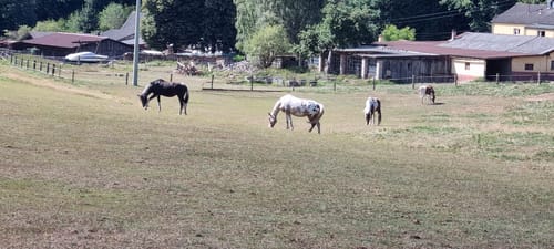 Rund um Clausen C8