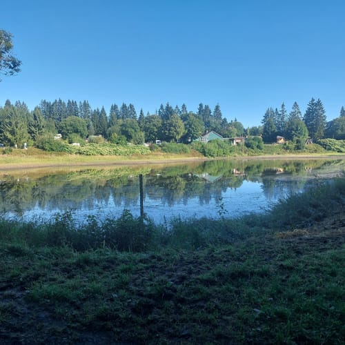 Waldweben - Einersberger See
