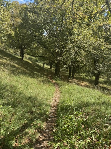 Adolf-Hackner-Weg Greding