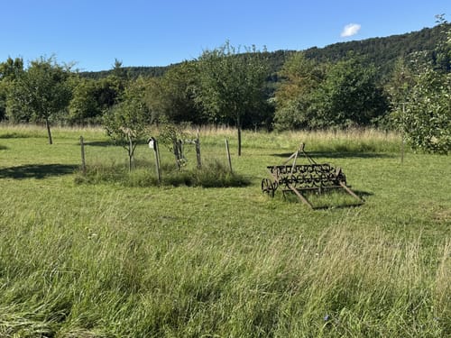 Adolf-Hackner-Weg Greding