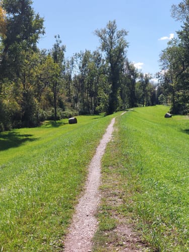 Rundweg durch die Isarauen bei Moosburg