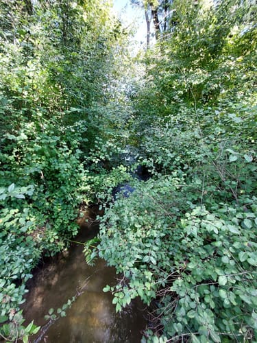 Rundweg durch die Isarauen bei Moosburg