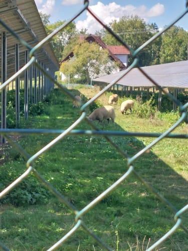 Rundweg durch die Isarauen bei Moosburg