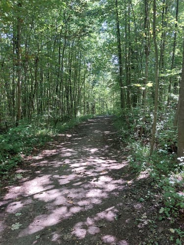 Rundweg durch die Isarauen bei Moosburg
