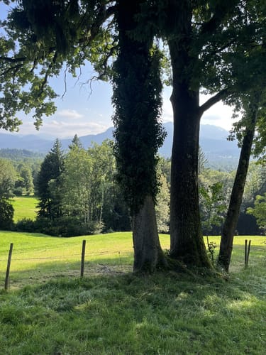 Wanderung zur Sonntratn (Schürfenkopf)