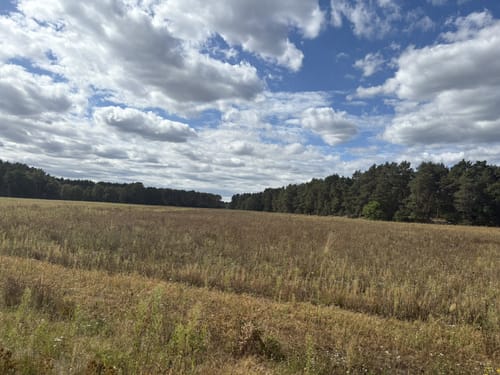 Gifhorner Heide - Heidesee - Fahle Heide