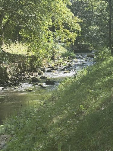 Gifhorner Heide - Heidesee - Fahle Heide