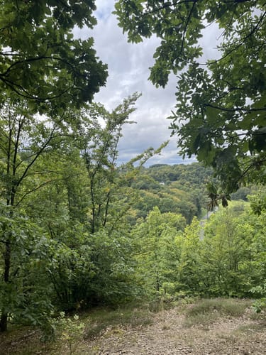 Eisenbachtal (WällerTour)