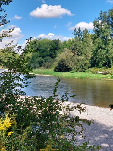 Rundweg durch die Isarauen bei Moosburg