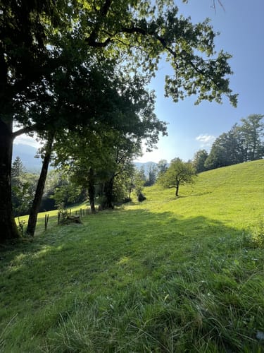 Wanderung zur Sonntratn (Schürfenkopf)