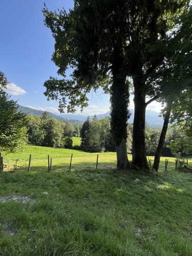 Wanderung zur Sonntratn (Schürfenkopf)