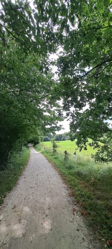 Einfelder und Bordesholmer See