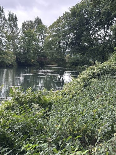Rundwanderung durch den Moritz van Nassau Park