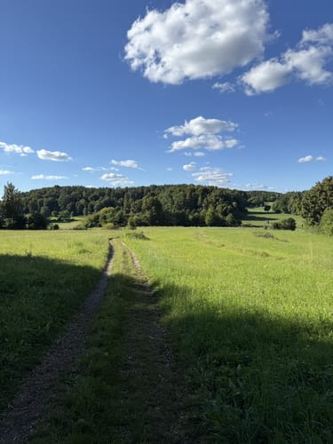 Windischgaillenreuth - Buchenwald Runde