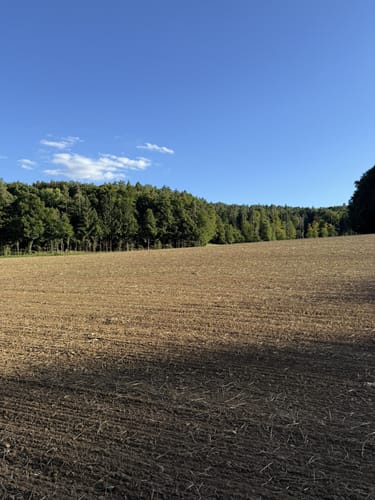 Windischgaillenreuth - Buchenwald Runde